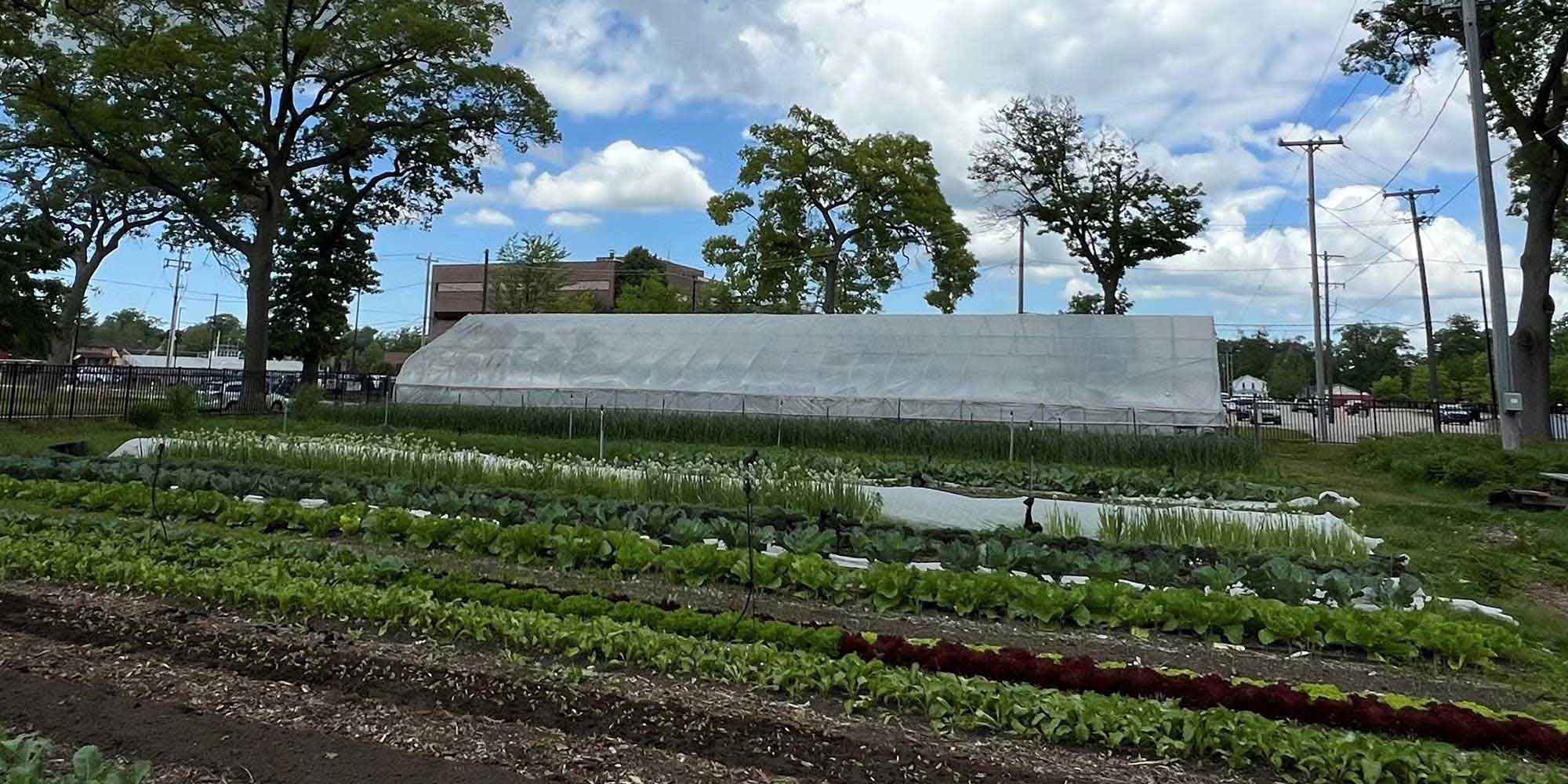 McLaughlin Farm