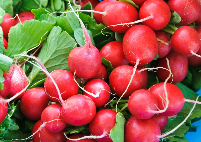 image of fresh radishes.
