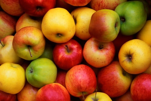 An assortment of apples