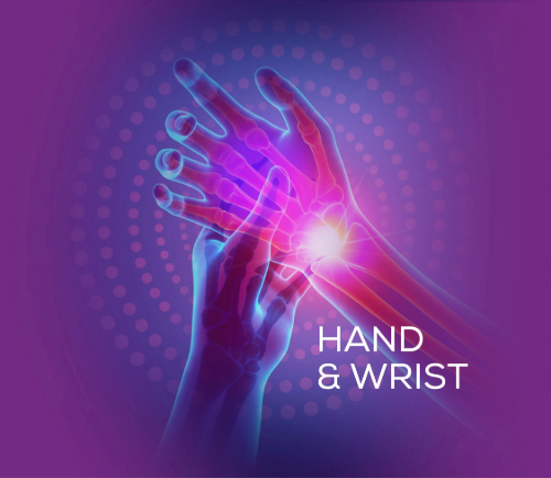 Hand Wrist