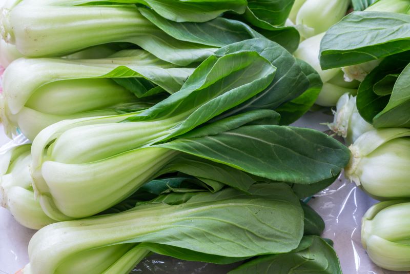 Fresh Bok Choy